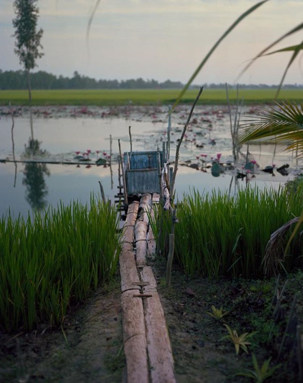 Tạp chí Địa lý Quốc gia National Geographic của Mỹ vừa đăng tải nhiều hình ảnh về những kiểu nhà vệ sinh lộ thiên ở vùng quê Việt Nam trong bài viết về vấn đề nhà vệ sinh không đủ tiêu chuẩn.